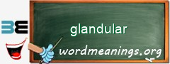 WordMeaning blackboard for glandular